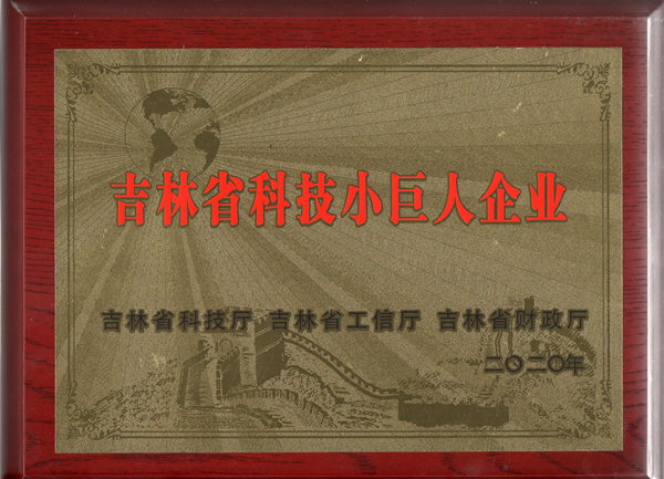 0老子有钱lzyq88物业获“吉林省科技小巨人企业”称呼_副本.jpg